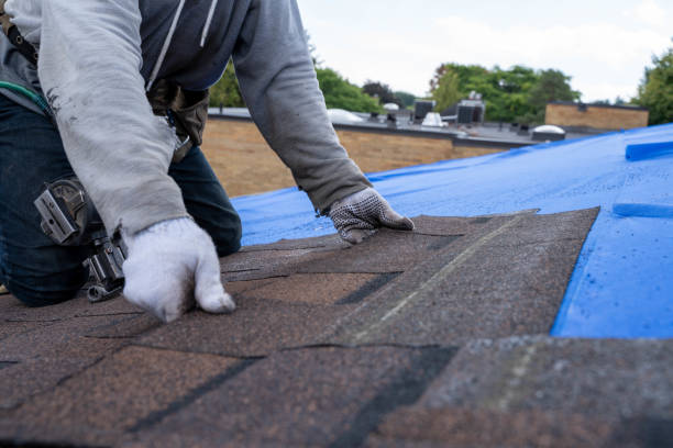 Quick and Trustworthy Emergency Roof Repair Services in Trucksville, PA
