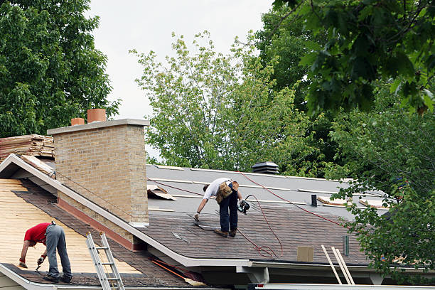 Best Gutter Installation and Roofing  in Trucksville, PA